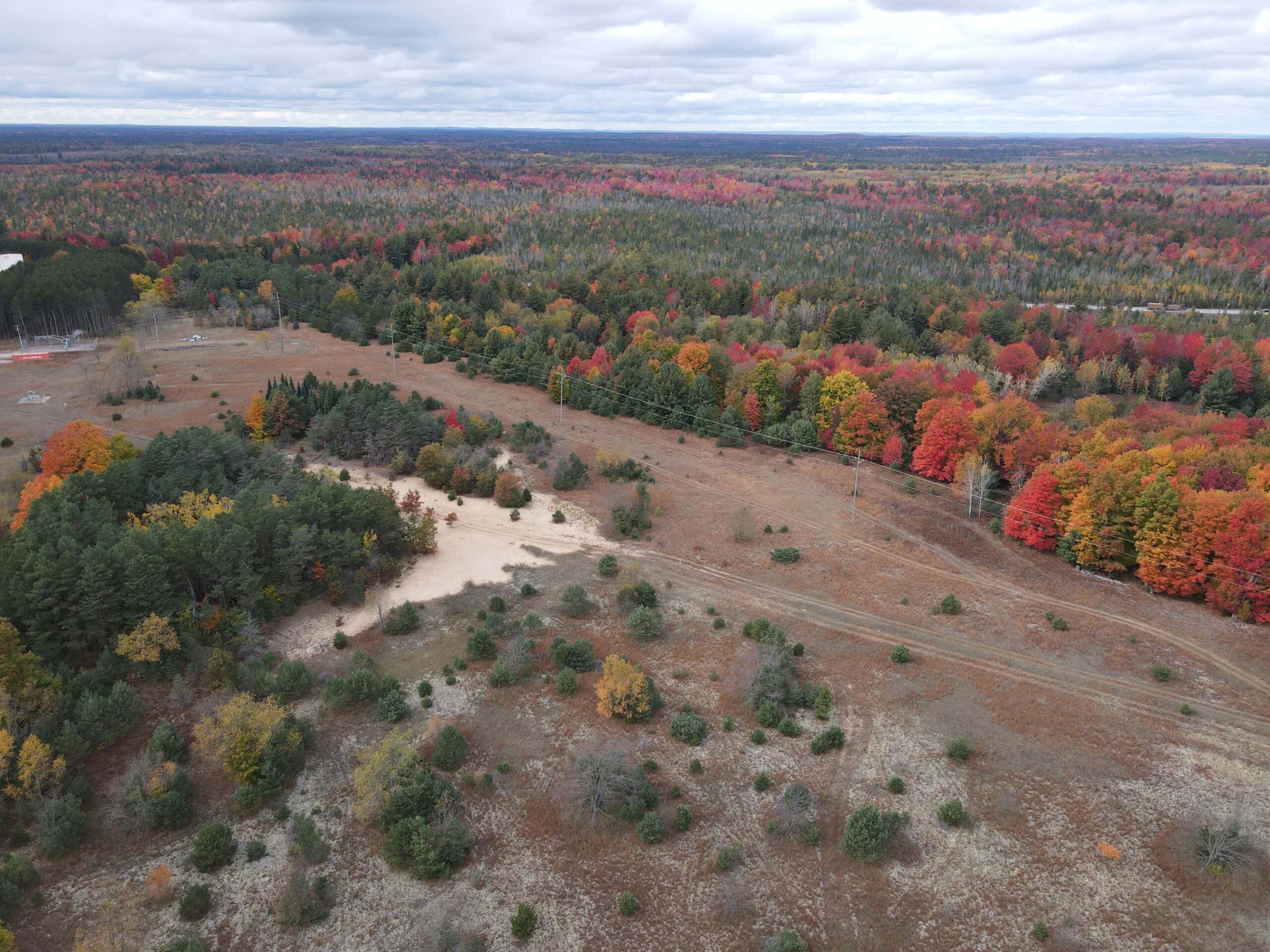 94 Acres of Prime Northern Michigan Land – Surveyed, Buildable, & Loaded with Wildlife