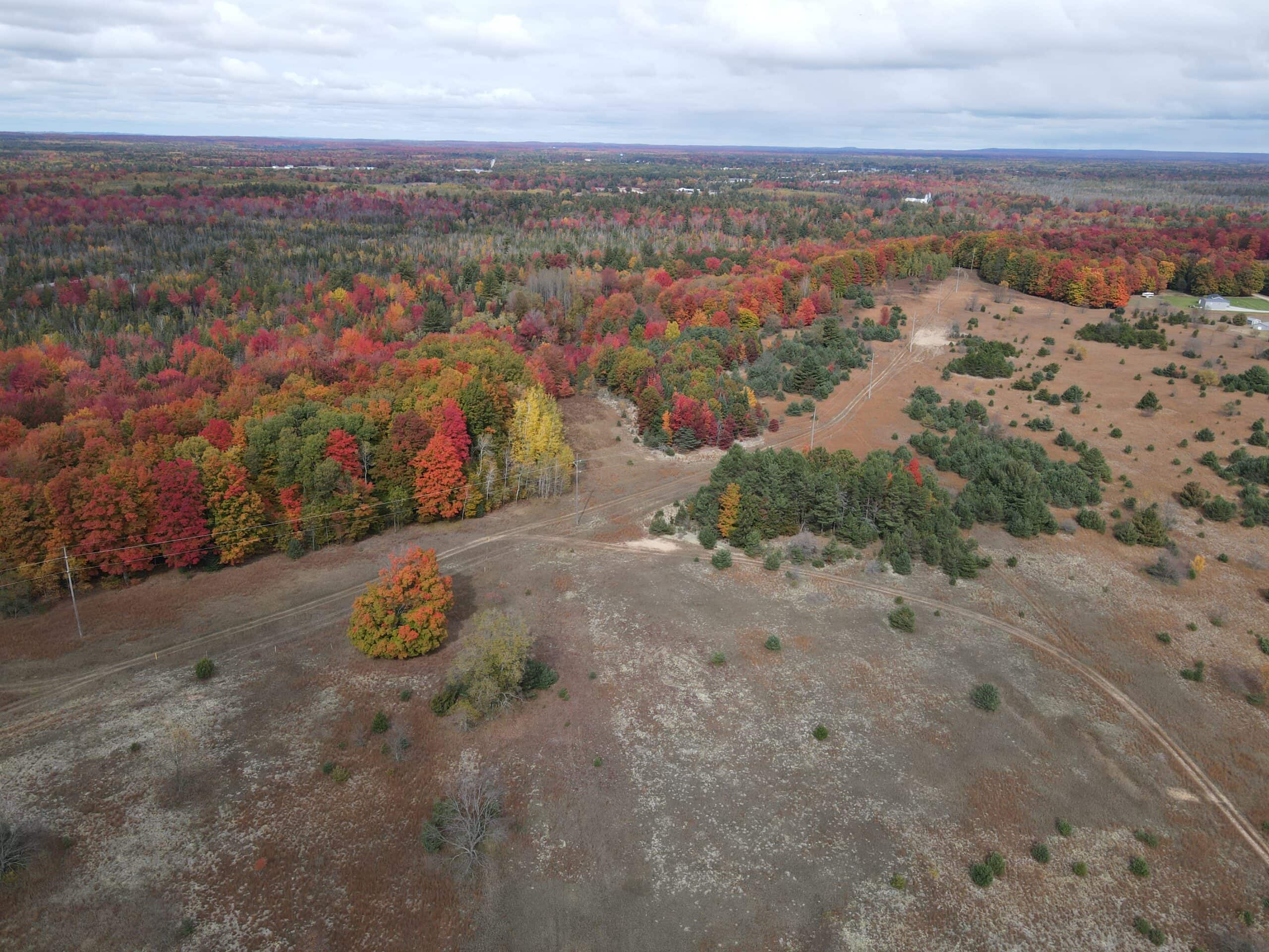 94 Acres of Prime Northern Michigan Land – Surveyed, Buildable, & Loaded with Wildlife