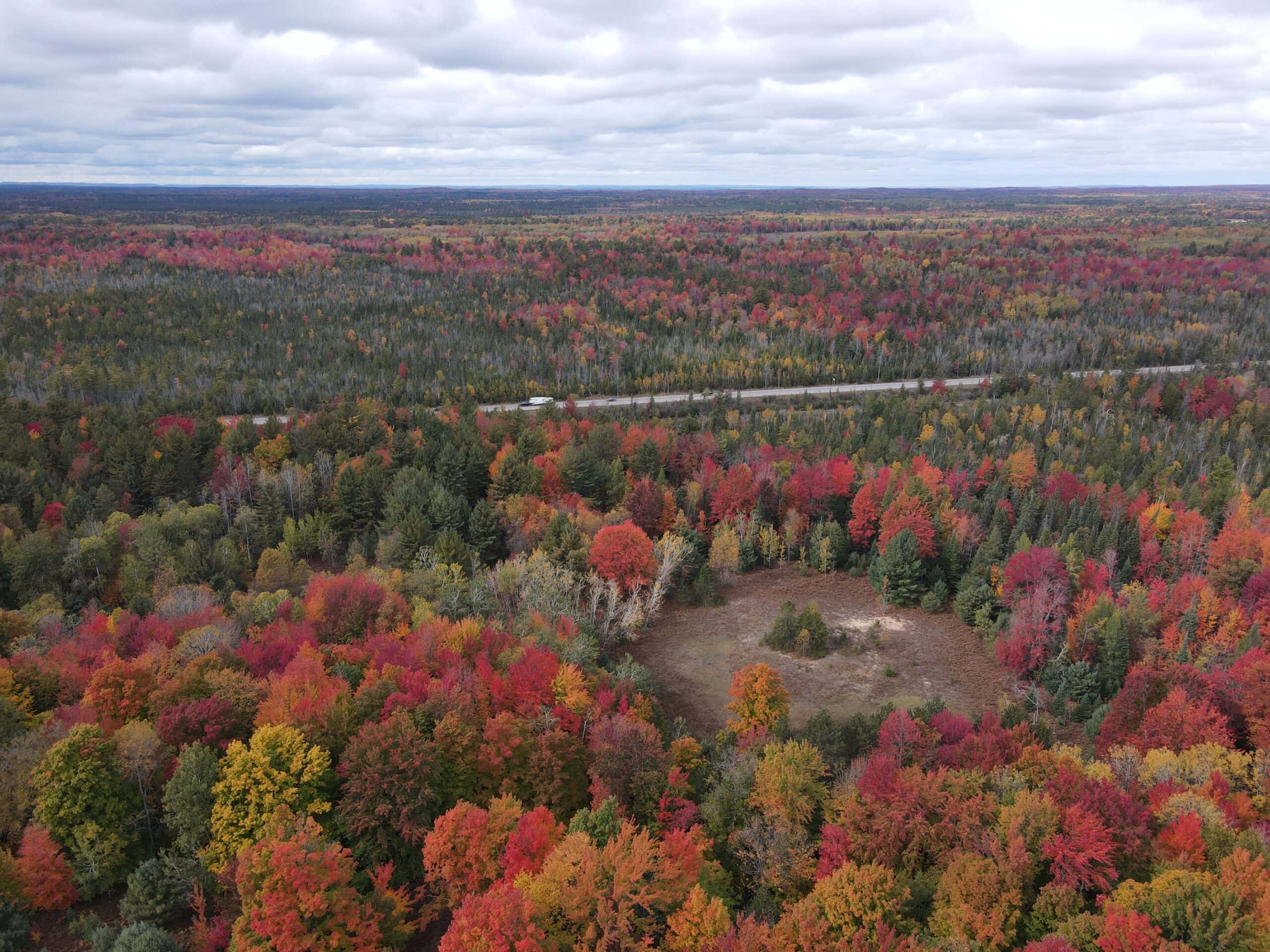 94 Acres of Prime Northern Michigan Land – Surveyed, Buildable, & Loaded with Wildlife