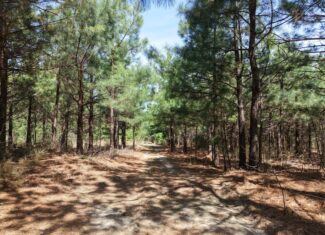 CABIN WITH HUNTING LAND FOR SALE IN NORTH CENTRAL ARKANSAS