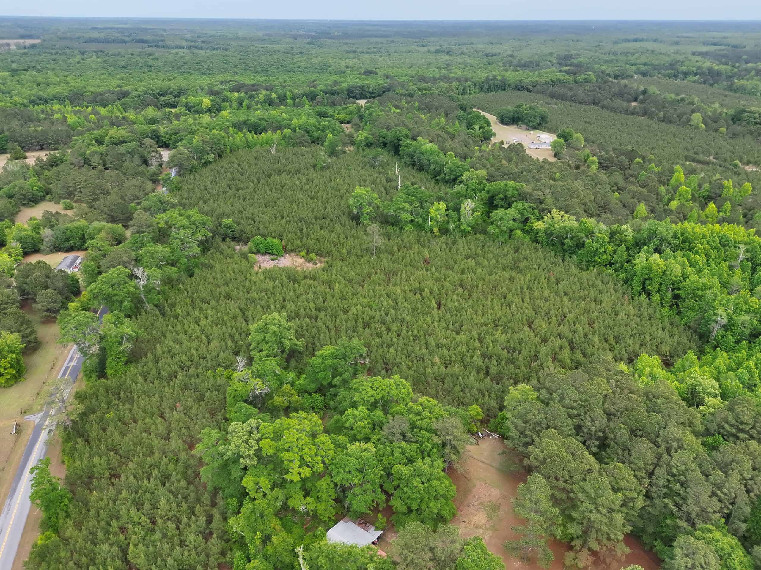 Over 25 acres on the corner of Ulmer Rd & Andrew Harter Rd near the Salkahatchie River