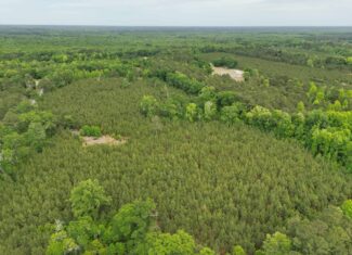 Over 25 acres on the corner of Ulmer Rd & Andrew Harter Rd near the Salkahatchie River