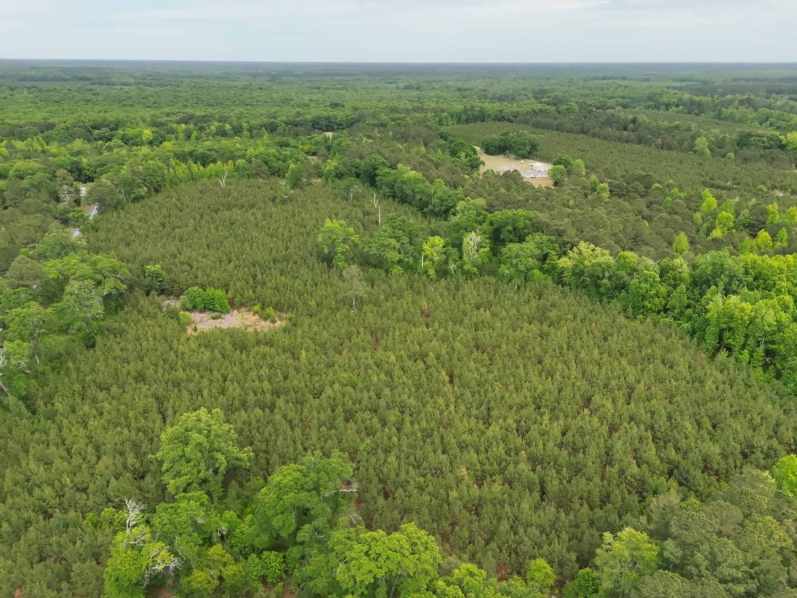 Over 25 acres on the corner of Ulmer Rd & Andrew Harter Rd near the Salkahatchie River