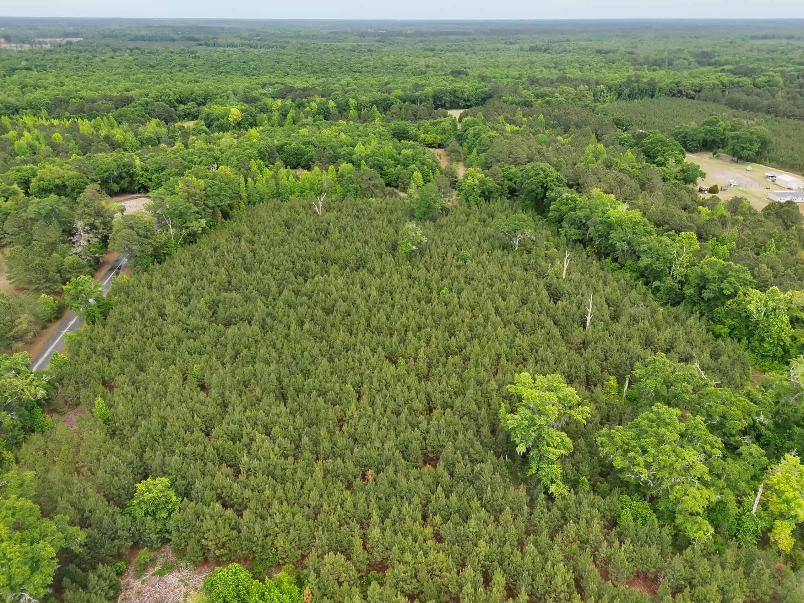 Over 25 acres on the corner of Ulmer Rd & Andrew Harter Rd near the Salkahatchie River