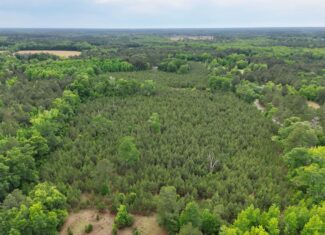 Over 25 acres on the corner of Ulmer Rd & Andrew Harter Rd near the Salkahatchie River