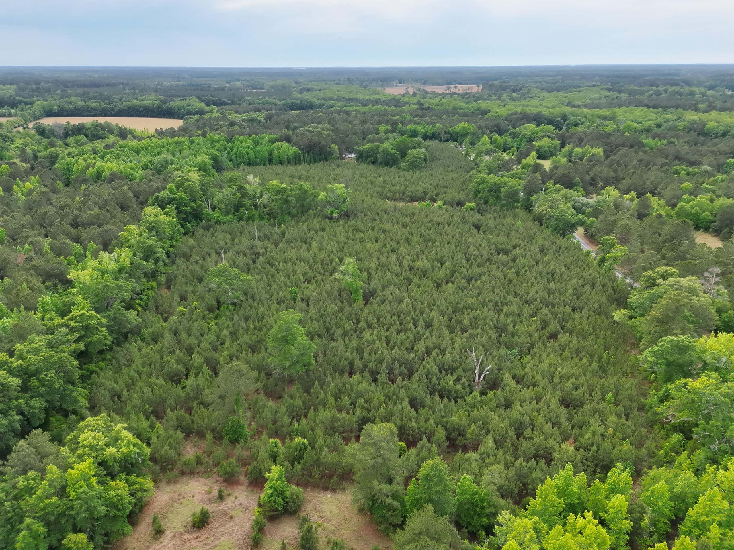 Over 25 acres on the corner of Ulmer Rd & Andrew Harter Rd near the Salkahatchie River