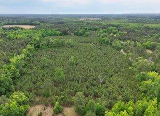 Over 25 acres on the corner of Ulmer Rd & Andrew Harter Rd near the Salkahatchie River