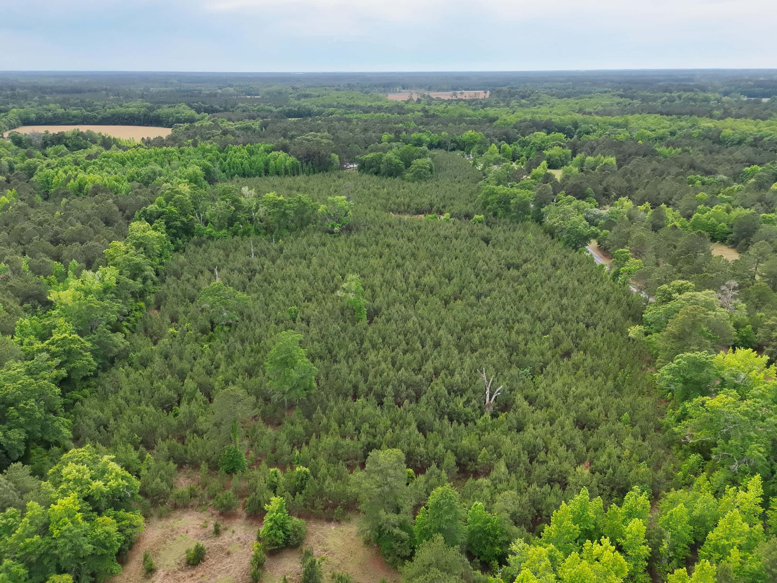 Over 25 acres on the corner of Ulmer Rd & Andrew Harter Rd near the Salkahatchie River