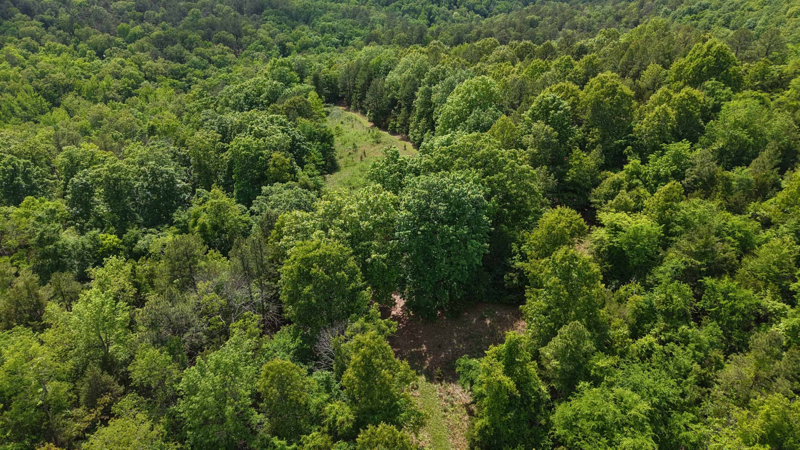 HOME AND LARGE ACREAGE FOR SALE IN NORTH CENTRAL ARKANSAS