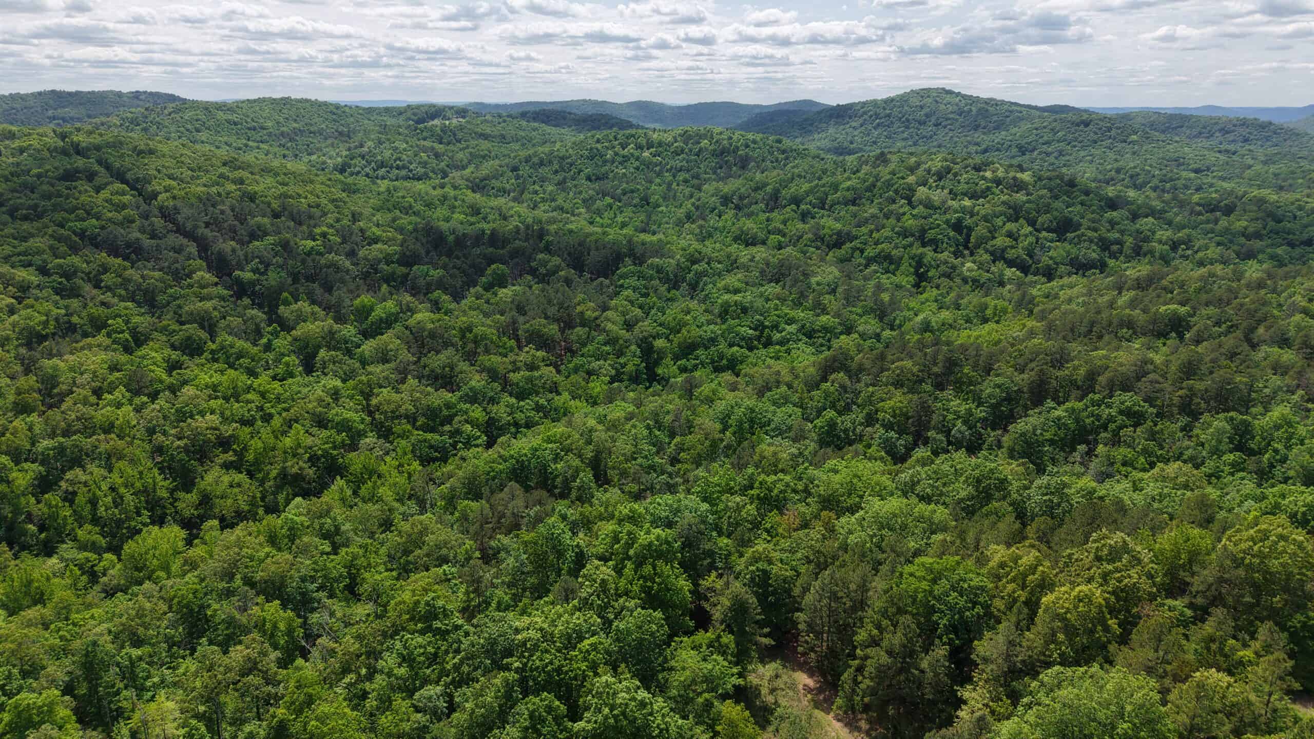 HOME AND LARGE ACREAGE FOR SALE IN NORTH CENTRAL ARKANSAS
