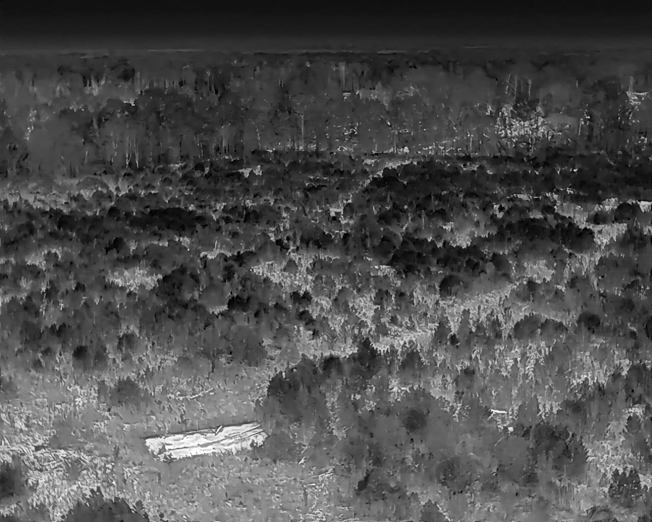 25 acres in Denmark on Voorhees Hwy