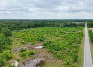 25 acres in Denmark on Voorhees Hwy