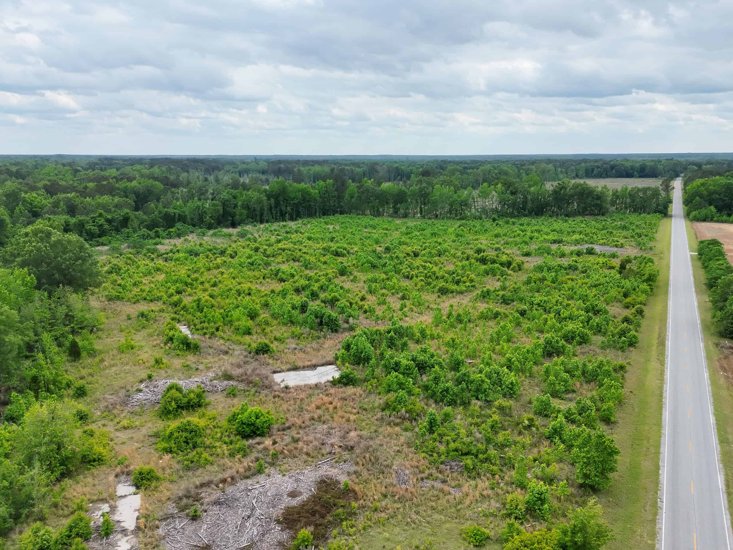 25 acres in Denmark on Voorhees Hwy