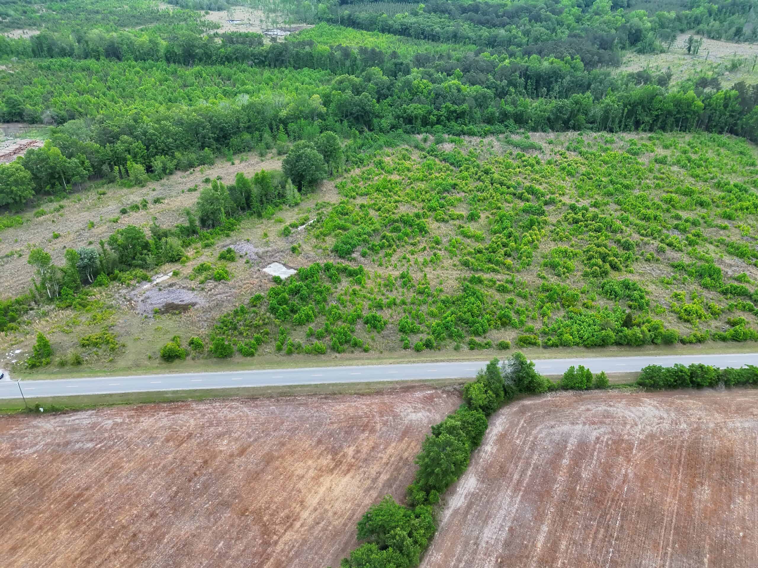 25 acres in Denmark on Voorhees Hwy