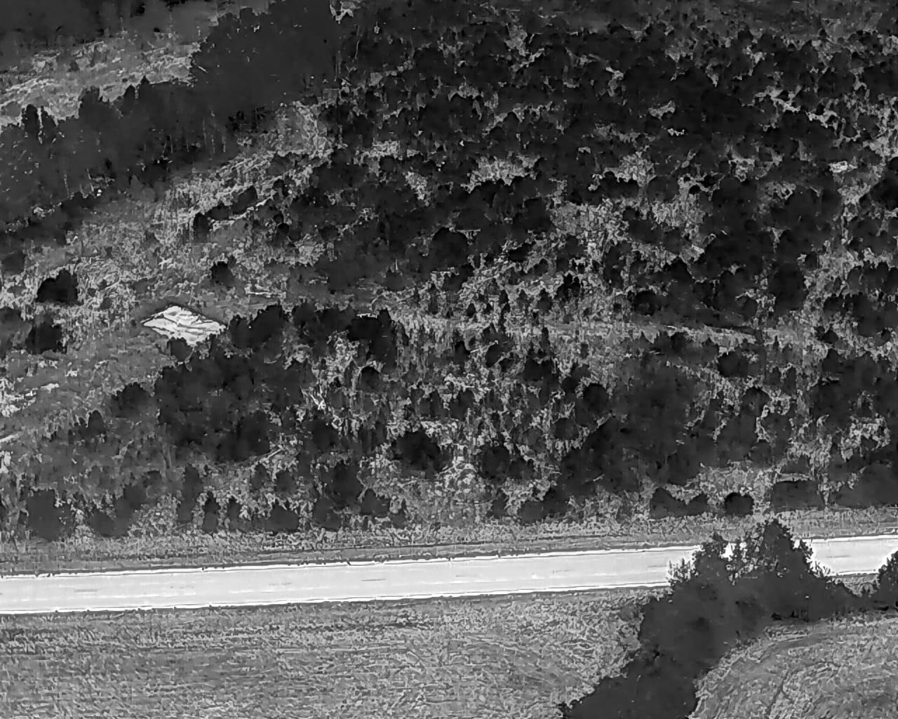 25 acres in Denmark on Voorhees Hwy