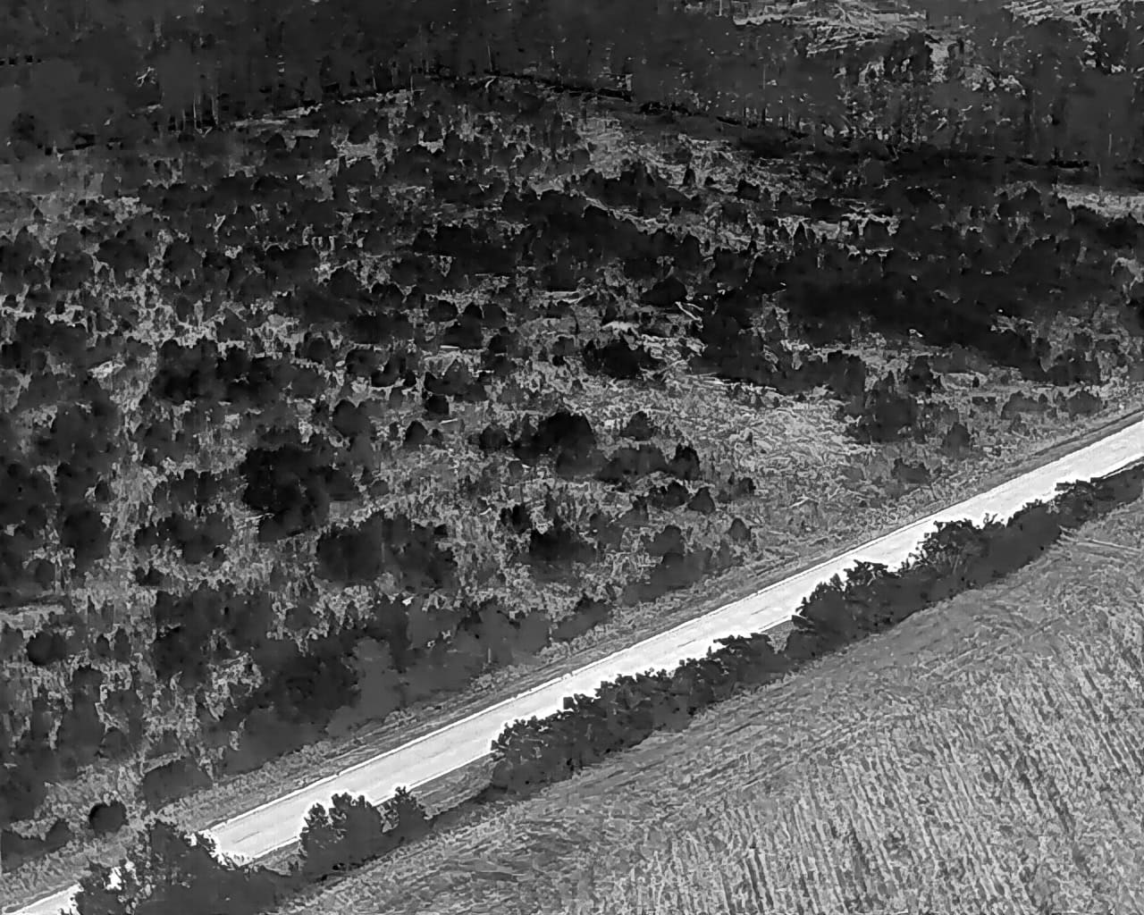 25 acres in Denmark on Voorhees Hwy