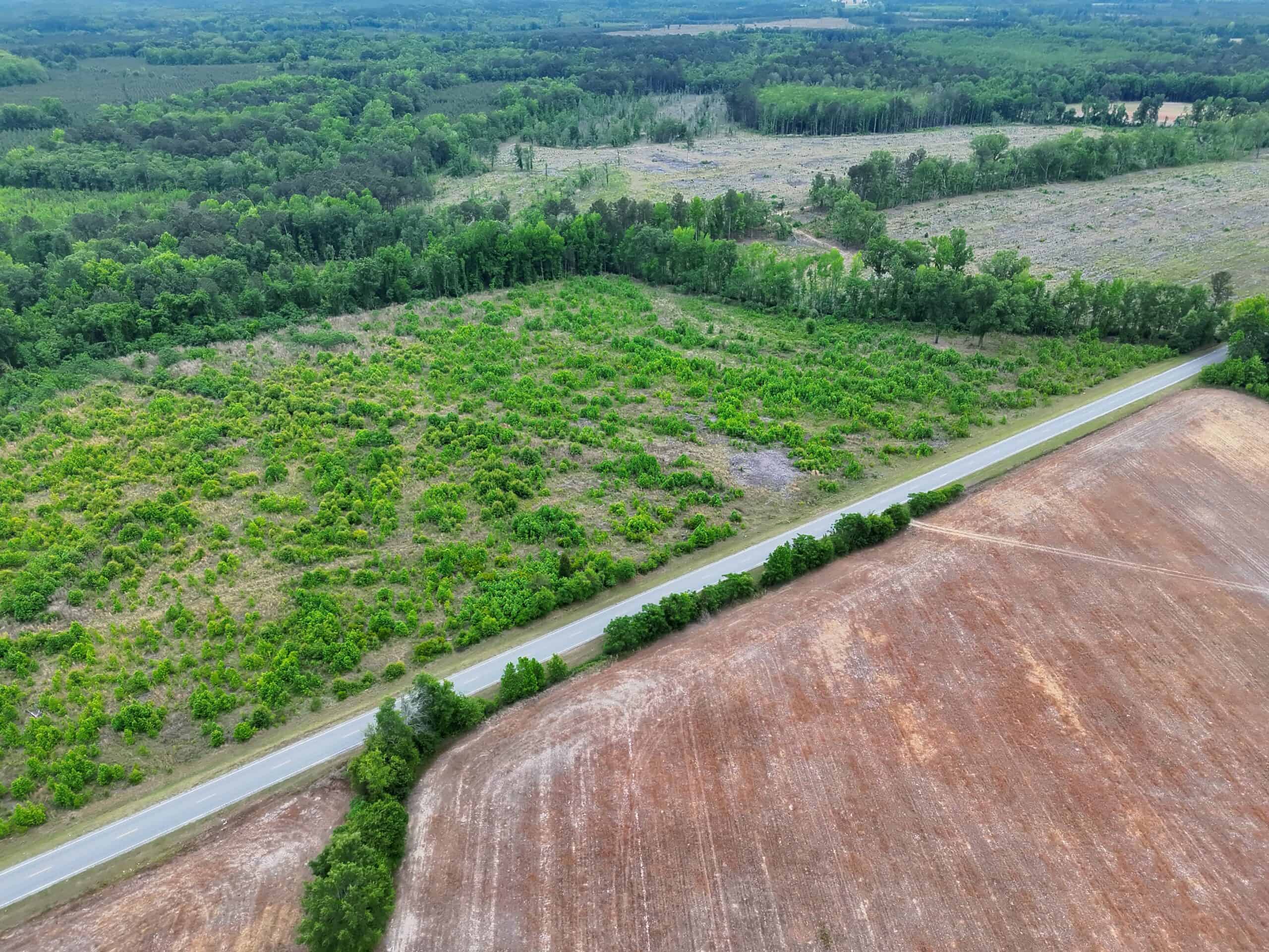 25 acres in Denmark on Voorhees Hwy