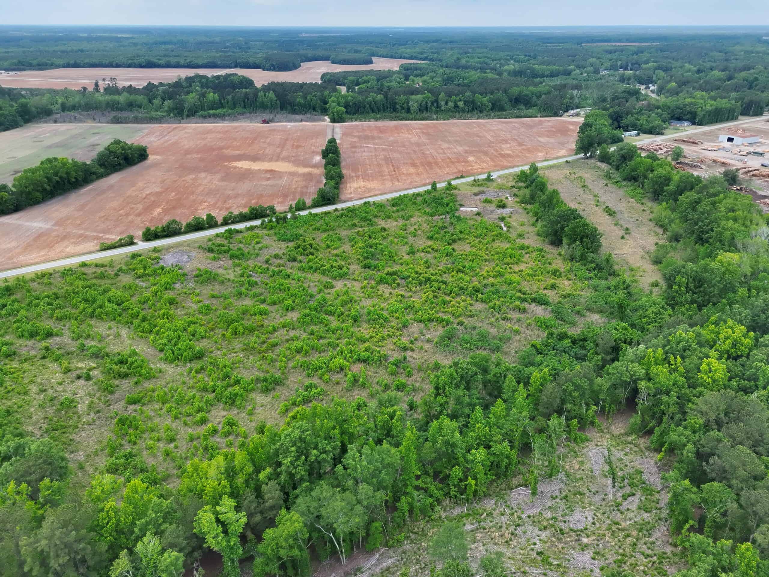 25 acres in Denmark on Voorhees Hwy