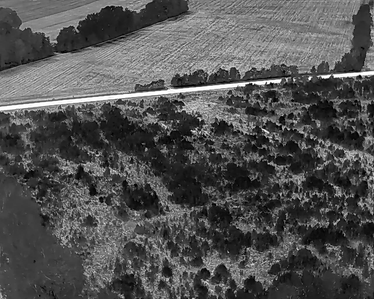 25 acres in Denmark on Voorhees Hwy