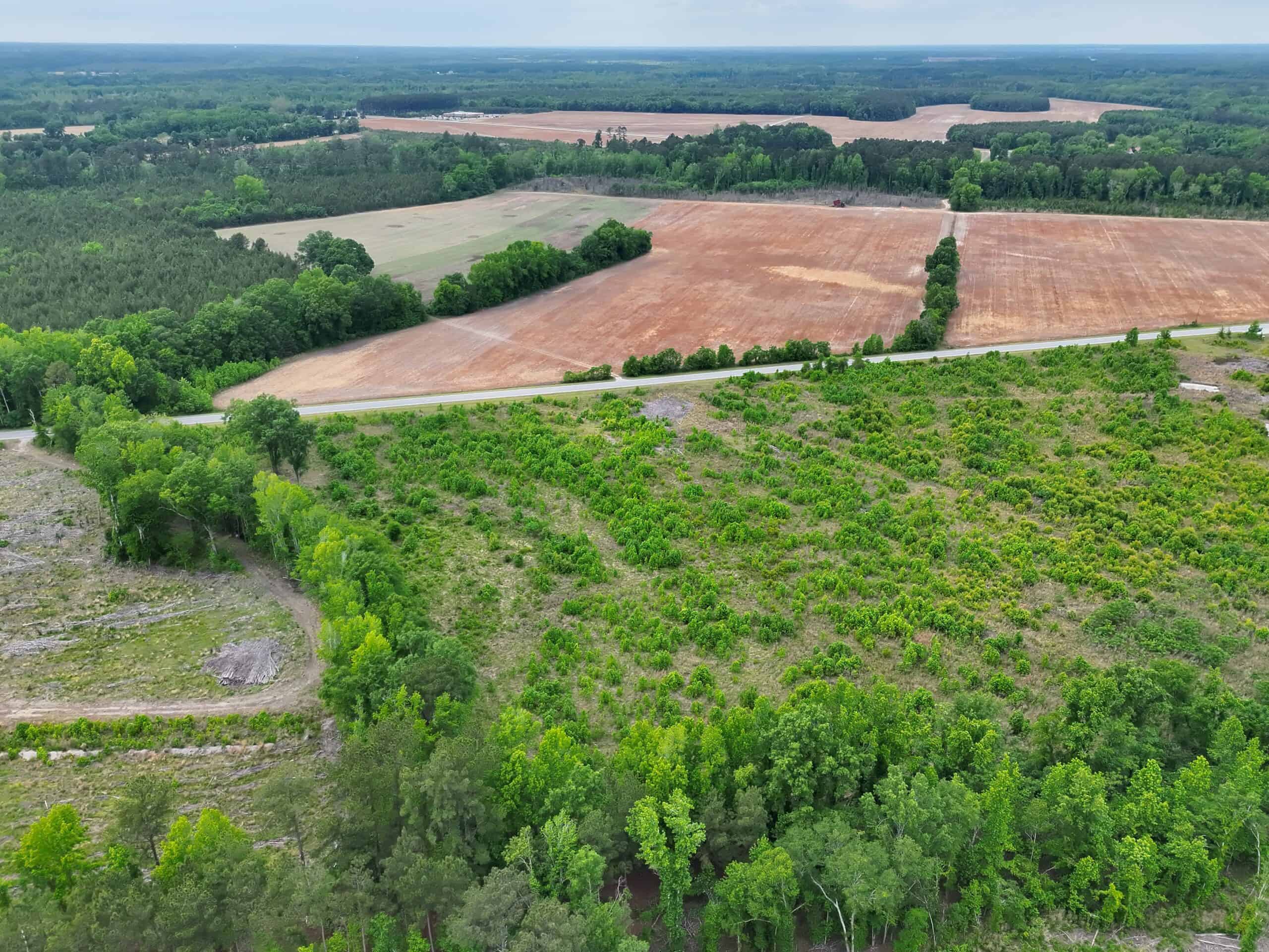25 acres in Denmark on Voorhees Hwy