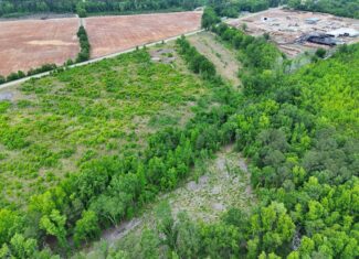25 acres in Denmark on Voorhees Hwy