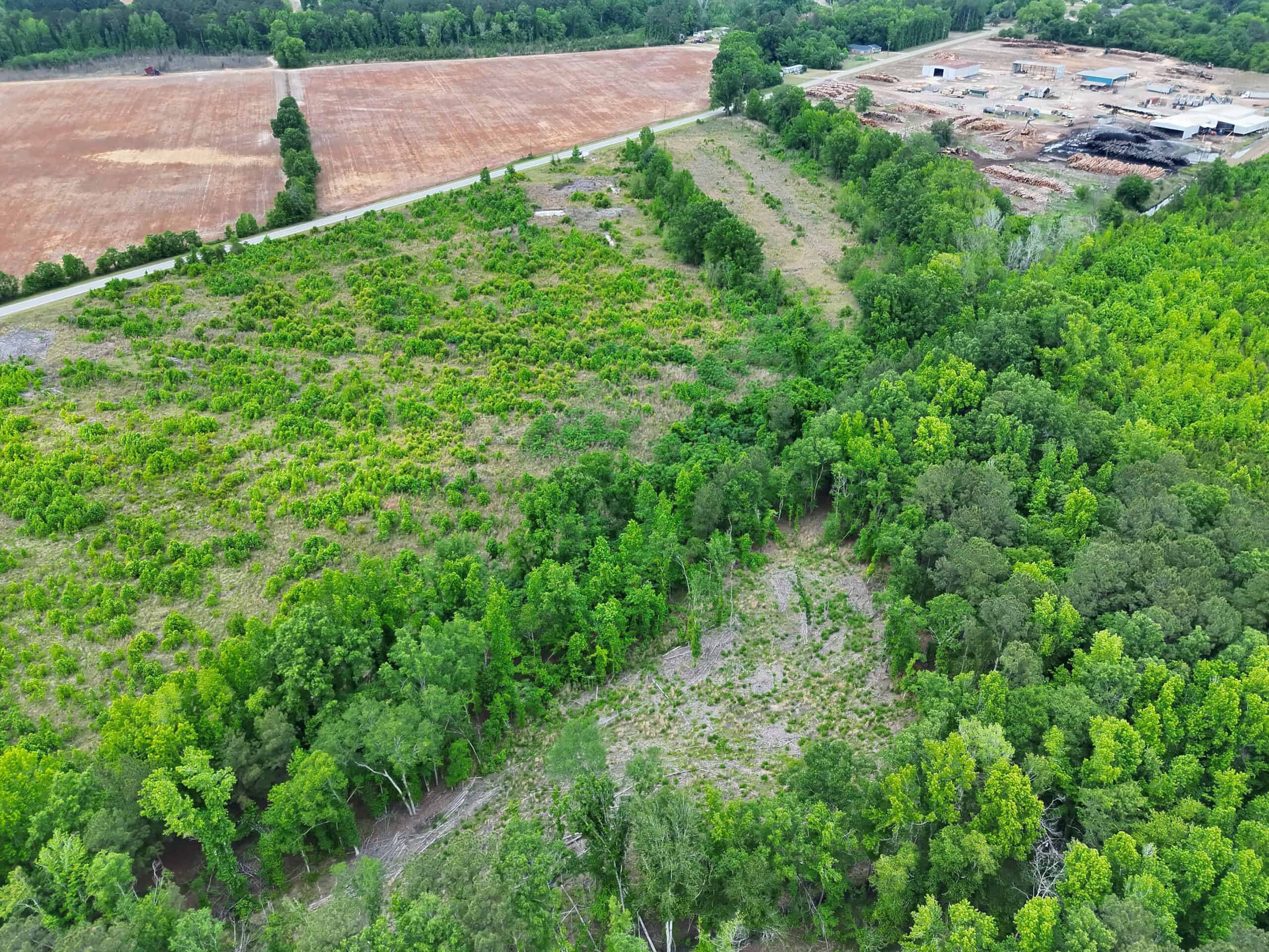 25 acres in Denmark on Voorhees Hwy