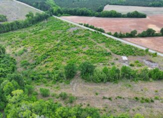 25 acres in Denmark on Voorhees Hwy
