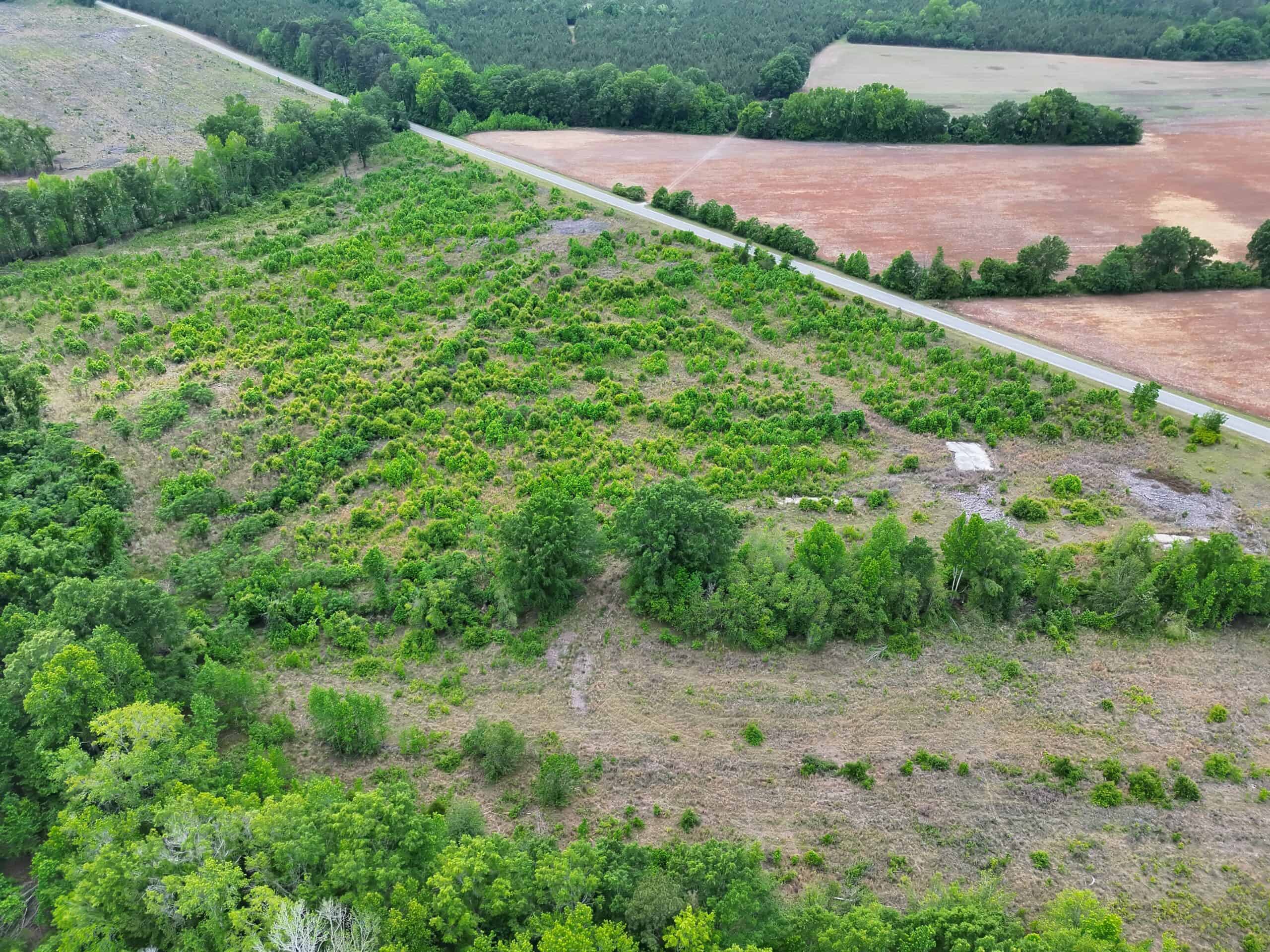 25 acres in Denmark on Voorhees Hwy