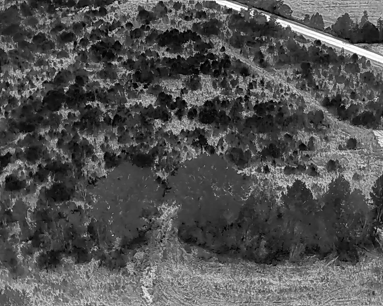 25 acres in Denmark on Voorhees Hwy