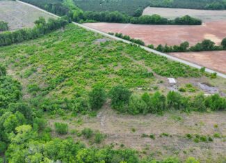 25 acres in Denmark on Voorhees Hwy