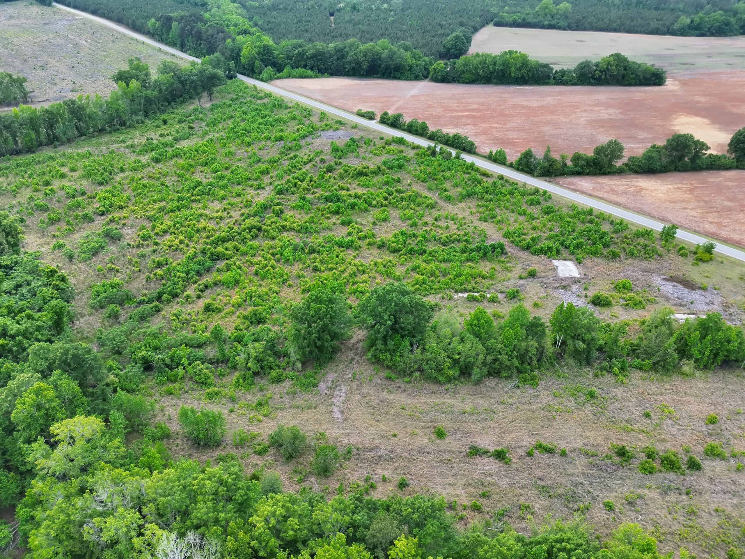25 acres in Denmark on Voorhees Hwy