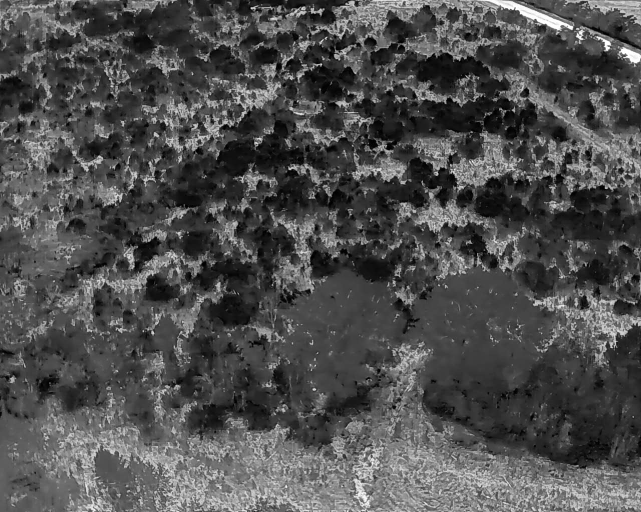 25 acres in Denmark on Voorhees Hwy