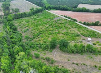 25 acres in Denmark on Voorhees Hwy