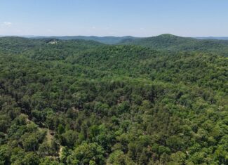 HUNTING LAND FOR SALE IN NORTH CENTRAL ARKANSAS