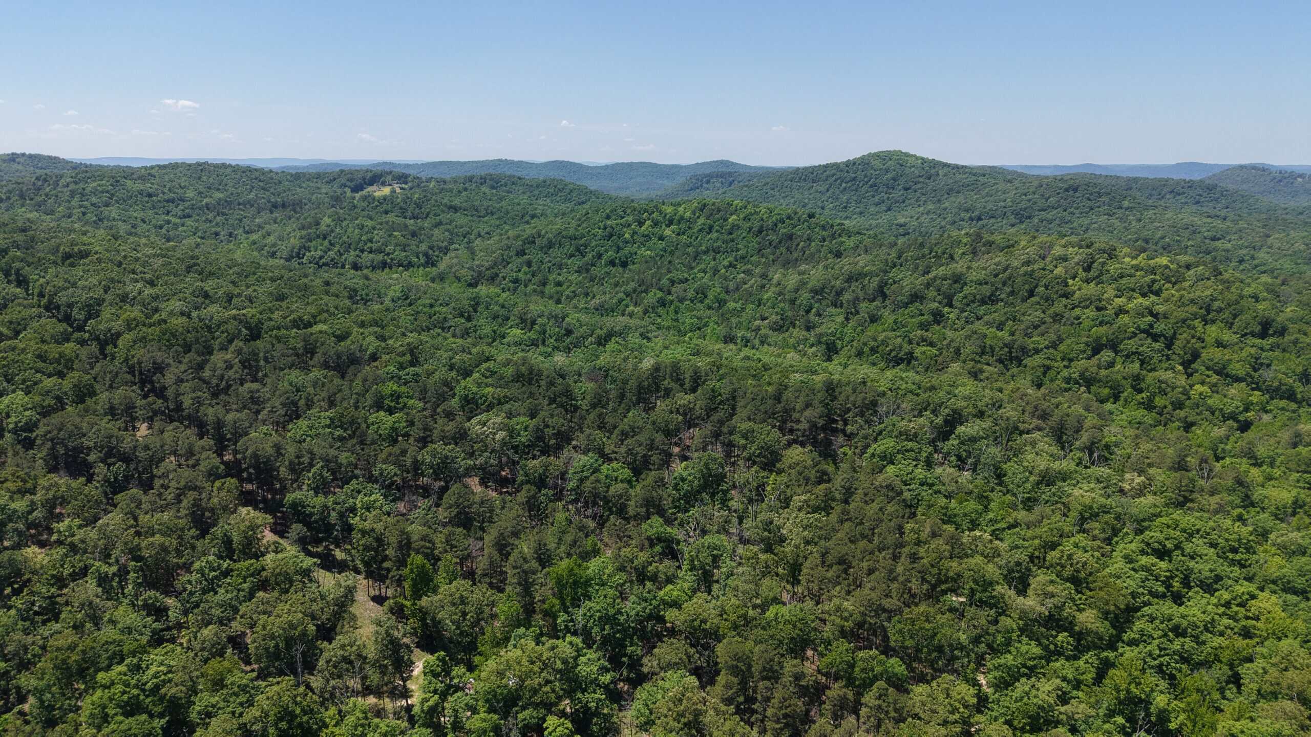 HUNTING LAND FOR SALE IN NORTH CENTRAL ARKANSAS