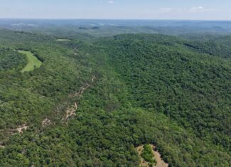 HUNTING LAND FOR SALE IN NORTH CENTRAL ARKANSAS