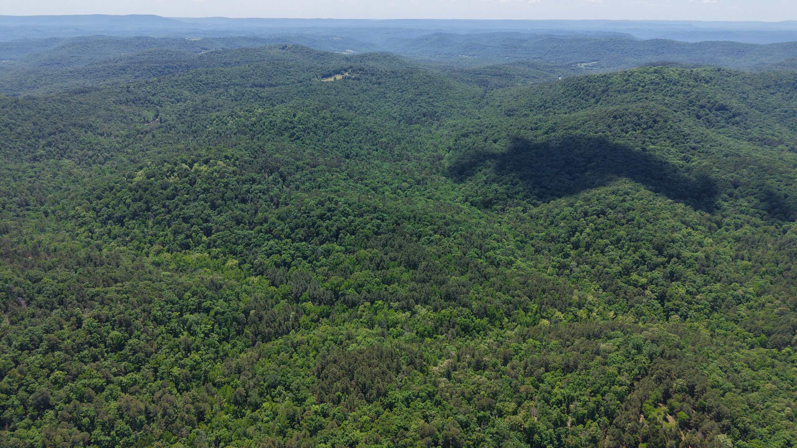 HUNTING LAND FOR SALE IN NORTH CENTRAL ARKANSAS