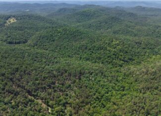 HUNTING LAND FOR SALE IN NORTH CENTRAL ARKANSAS