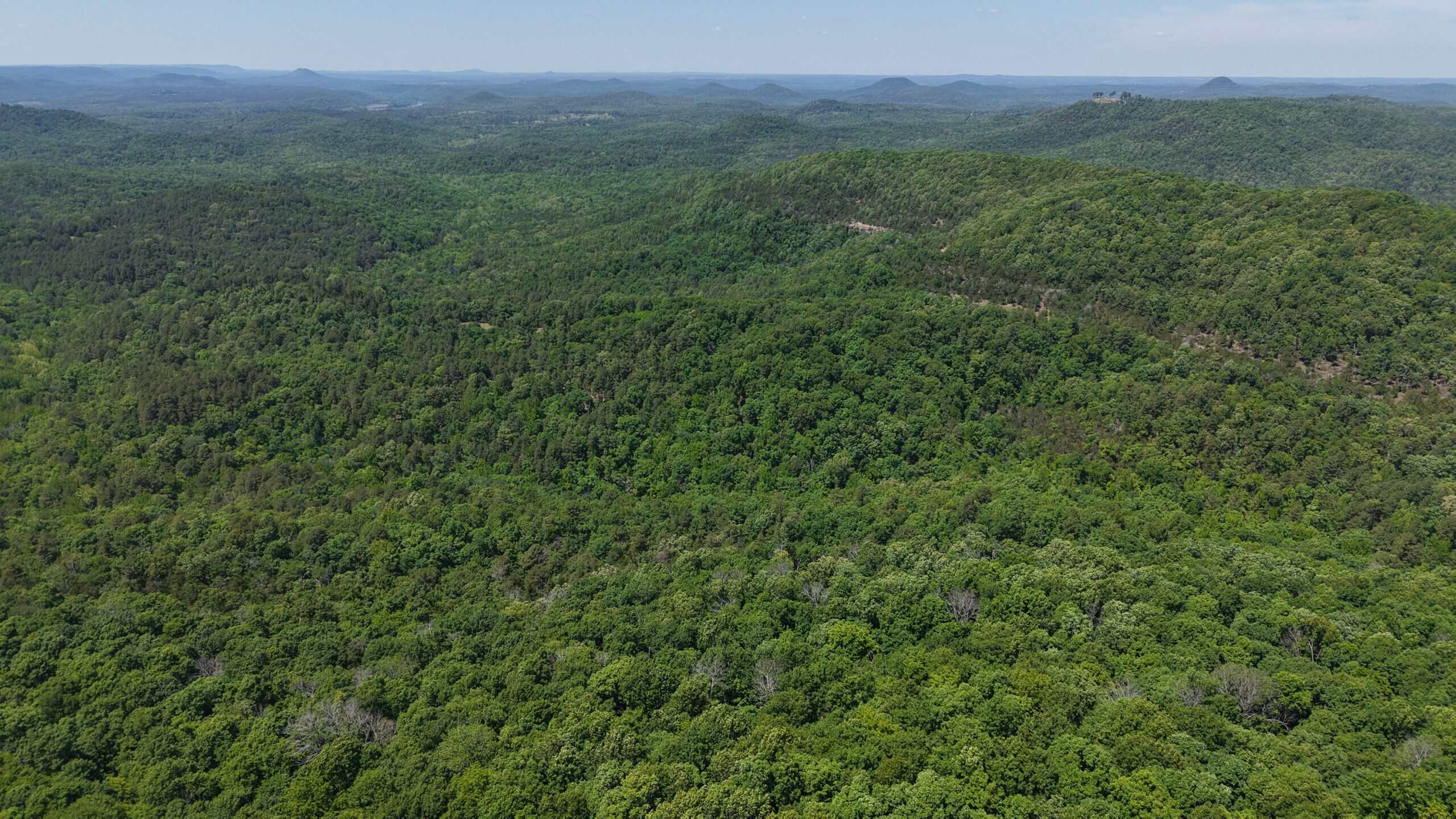 HUNTING LAND FOR SALE IN NORTH CENTRAL ARKANSAS
