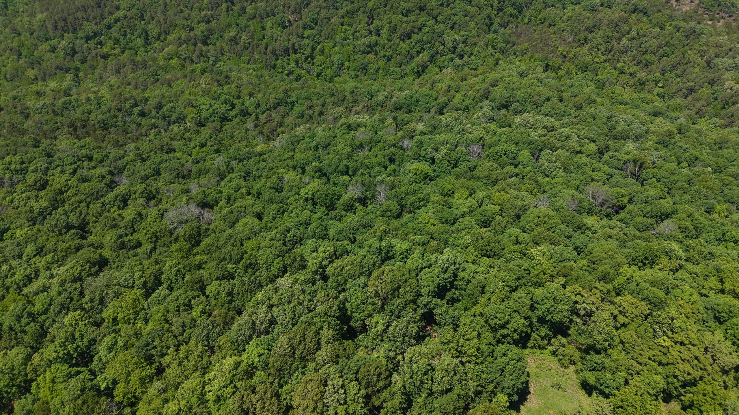 HUNTING LAND FOR SALE IN NORTH CENTRAL ARKANSAS