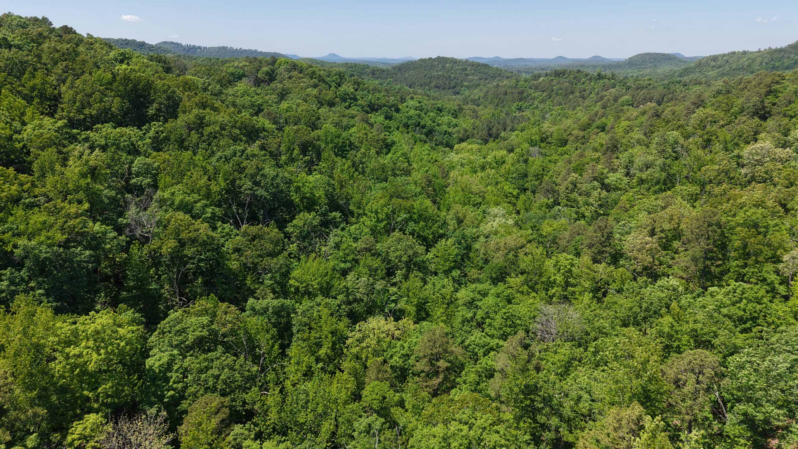 HUNTING LAND FOR SALE IN NORTH CENTRAL ARKANSAS