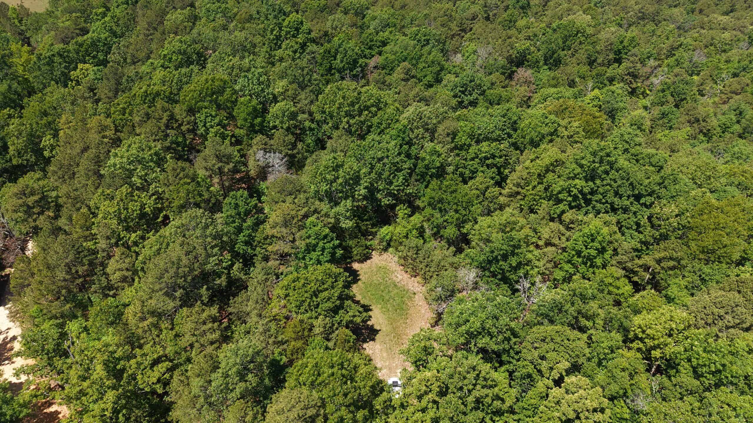 HUNTING LAND FOR SALE IN NORTH CENTRAL ARKANSAS