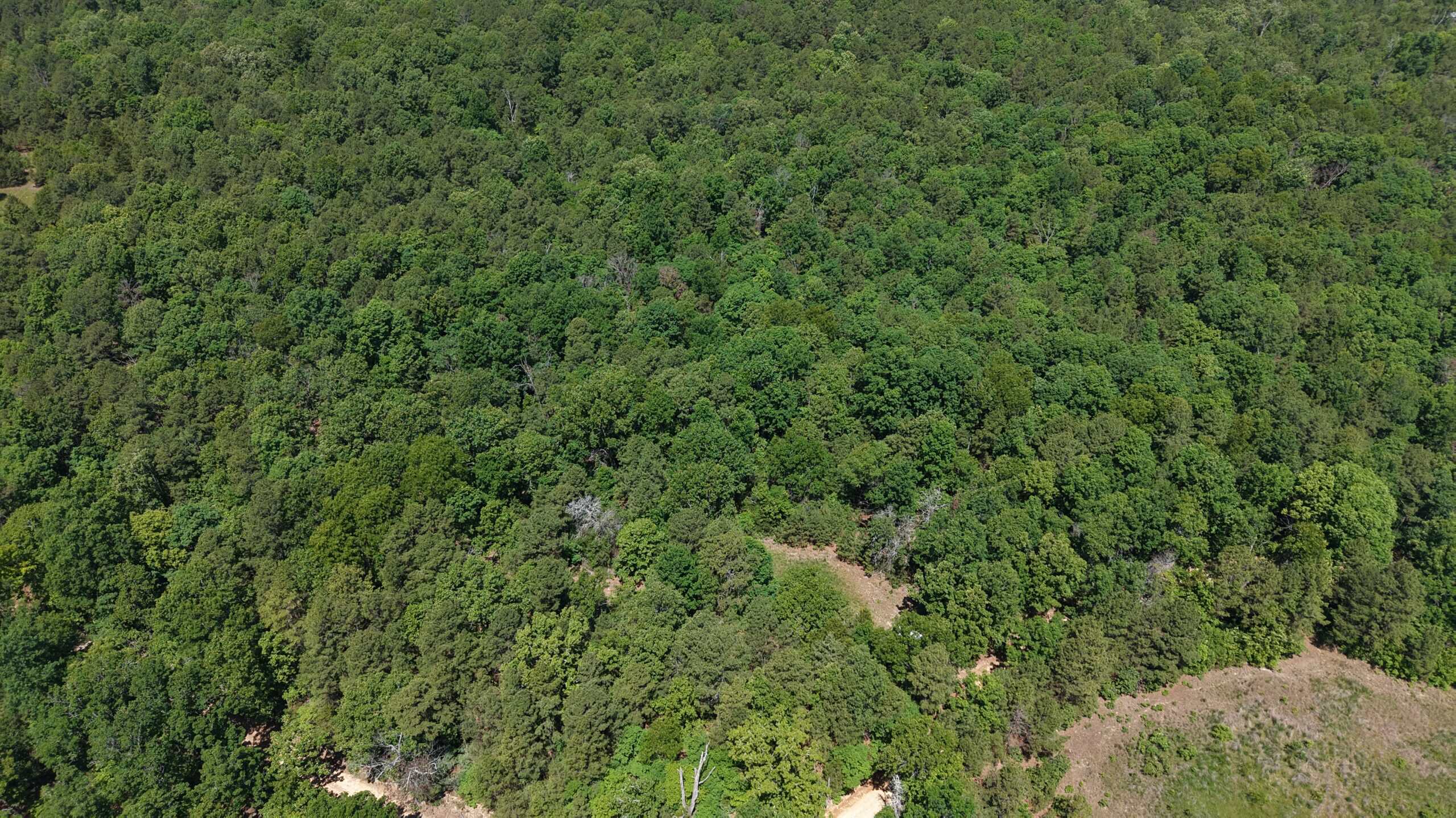 HUNTING LAND FOR SALE IN NORTH CENTRAL ARKANSAS