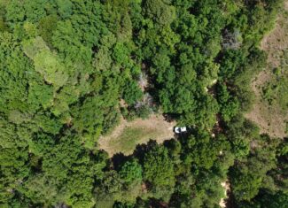HUNTING LAND FOR SALE IN NORTH CENTRAL ARKANSAS