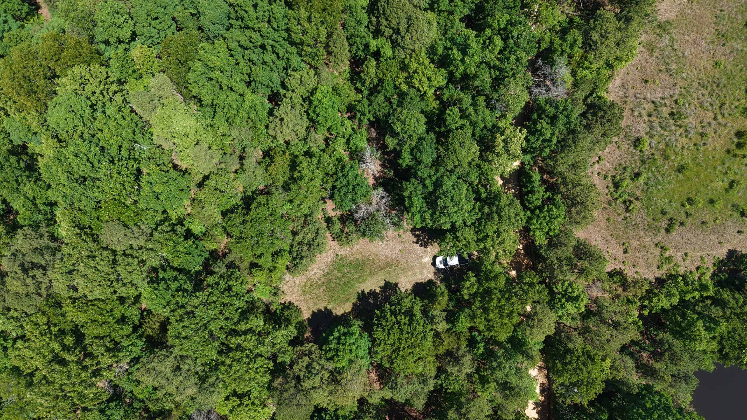HUNTING LAND FOR SALE IN NORTH CENTRAL ARKANSAS