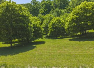 Three Bedrooms? Try Seven Rooms of Unlimited Potential. East TN-Claiborne County Hunting Lodge