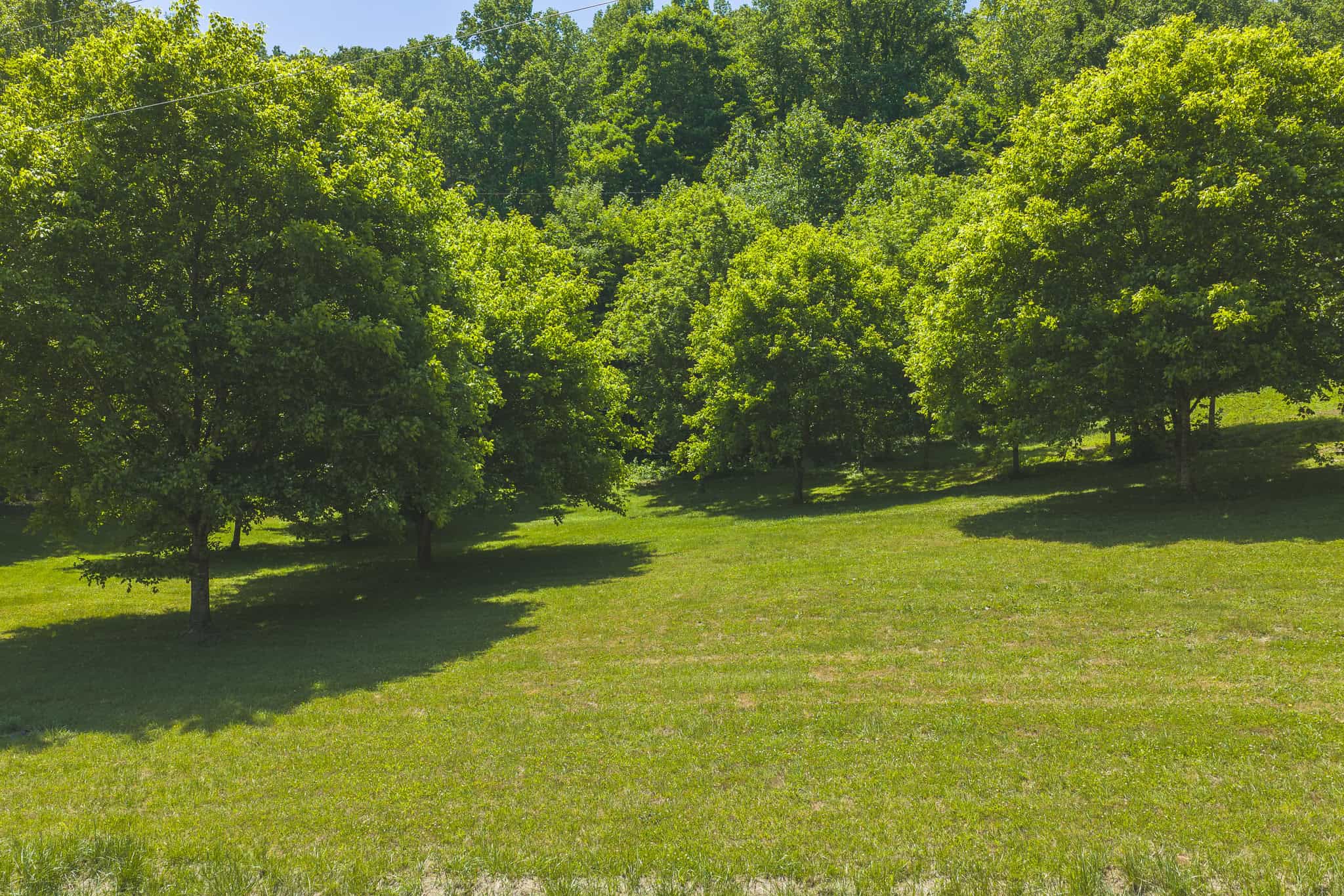 Three Bedrooms? Try Seven Rooms of Unlimited Potential. East TN-Claiborne County Hunting Lodge