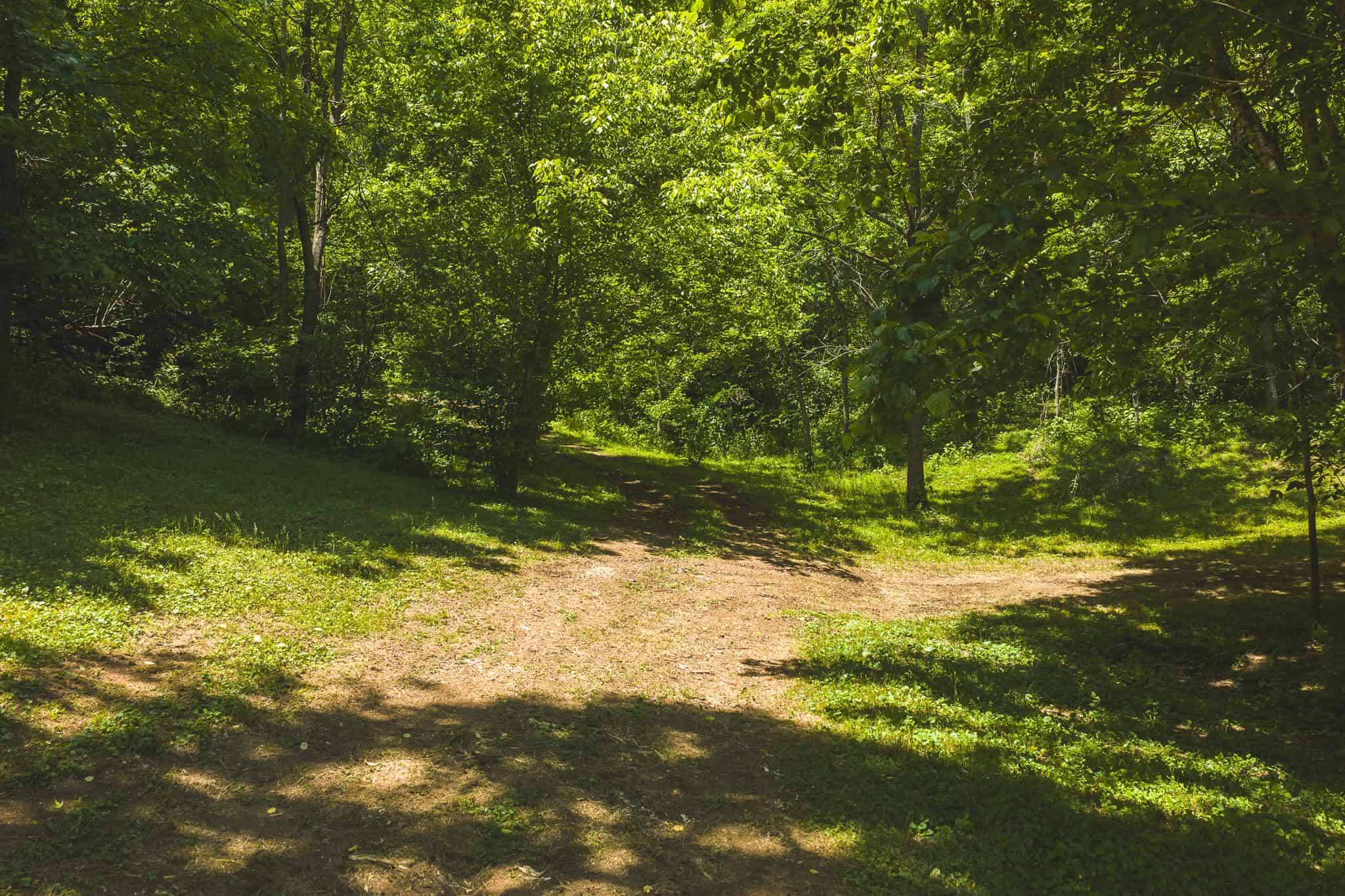 Three Bedrooms? Try Seven Rooms of Unlimited Potential. East TN-Claiborne County Hunting Lodge