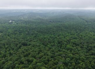 HUNTING LAND FOR SALE IN NORTH CENTRAL ARKANSAS