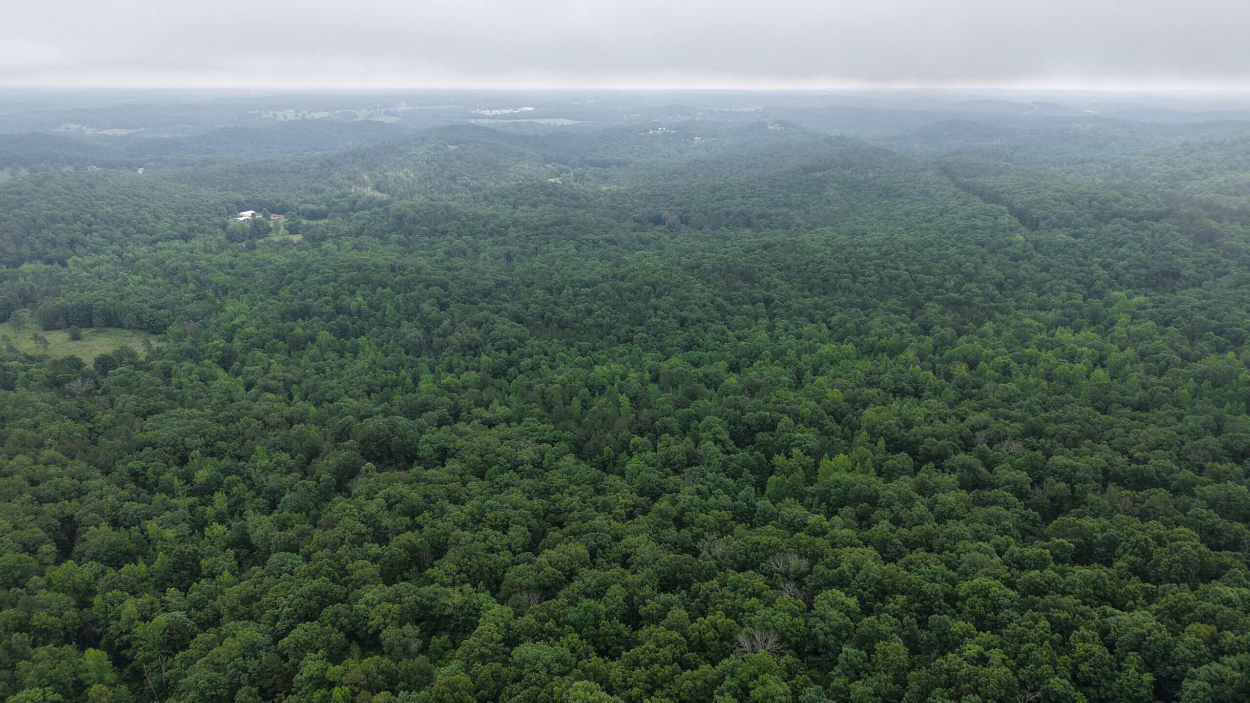HUNTING LAND FOR SALE IN NORTH CENTRAL ARKANSAS